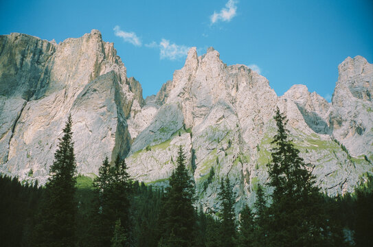 Mountain peaks surrounded by pine tree forest 