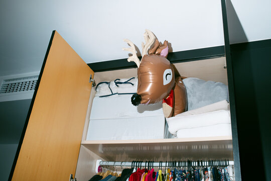 reindeer peeking out from a closet