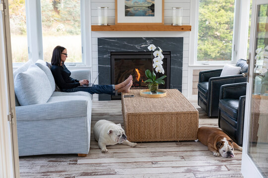 Woman working on laptop computer at home with pet bulldogs with her