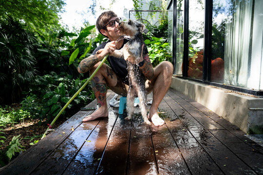 A millennial guy with tattoos smiles while bathing a gray schnazuer