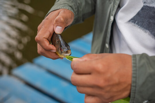 Holding a Piranha