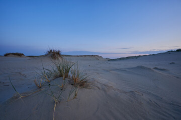 evening dunes Lithuania landscape image