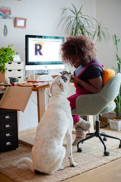 Pregnant designer woman eating pizza in home office feeding her dog
