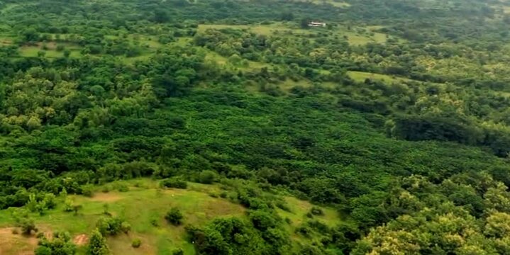 aerial video of forests on the slopes of the mountains and there are several stopover houses where you can enjoy the beauty of nature