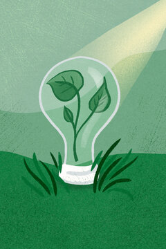 Green lightbulb power