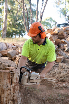 Arborist using chainsaw to flatten stump