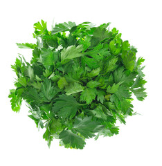 A bunch of green fresh fragrant parsley,adding to food for taste and smell. Green parsley or...