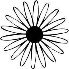 Daisy Flower Illustration