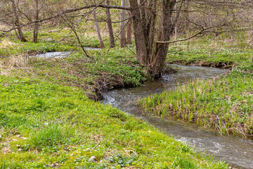 Selke Selketal Harz natürlicher Bachlauf