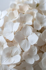 Fototapeta na wymiar A closeup of white flowers, a beautiful display on a table