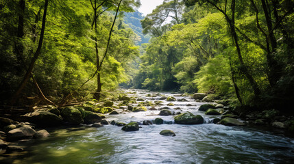 Obraz premium river in the forest.