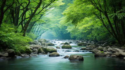 Obraz premium river in the forest.