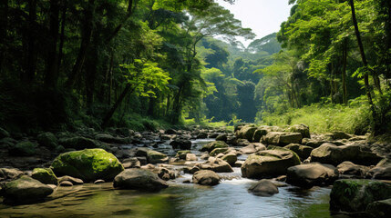 Naklejka premium river in the forest.