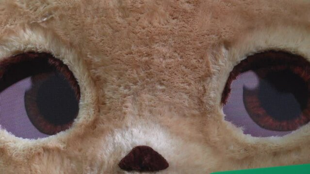 Closeup of digital soft teddy bear blinking eyes and looking at camera at exhibition