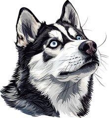 Siberian Husky dog adorable art vector illustration