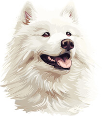 Samoyed dog adorable art vector illustration