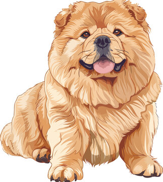 recommend clip art: Chow Chow dog adorable art vector illustration