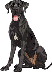 Great Dane dog adorable art vector illustration