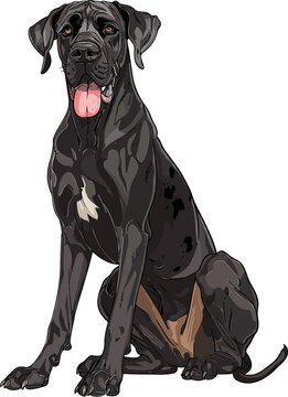 recommend clip art: Great Dane dog adorable art vector illustration