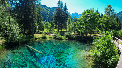 Scenic view of crystal clear waters with submerged logs of Lake Meerauge surrounded by green trees in Boden Valley in Karawanks mountain range in Austria. Turquoise colored pond Austrian Alps