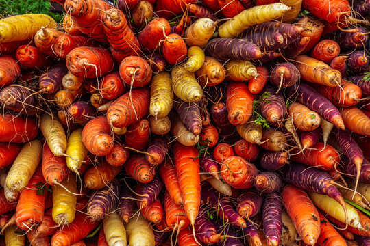 heirloom carrots