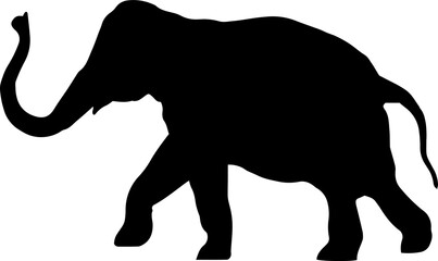 Elephant Illustration