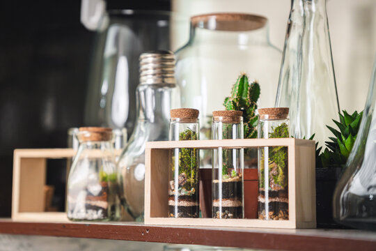 Terrariums