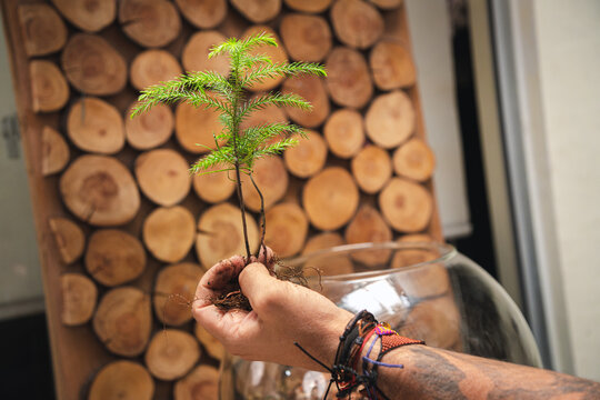 Man holding a plant