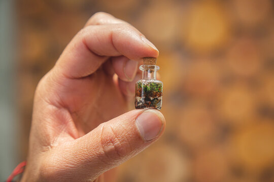 Hand holding a terrarium