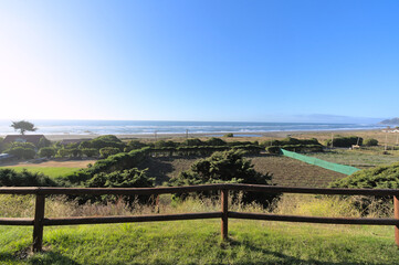 Obraz premium View of countryside and sand beach during windy summer day on pacific ocean (Iloca, Chile)