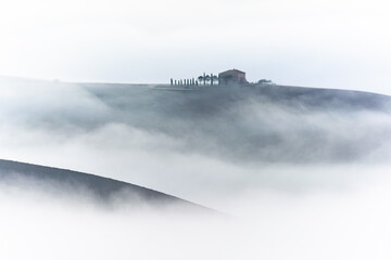 Mystical landscape of Italian Tuscany with lonely trees in the middle of rolling fields in thick fog - obrazy, fototapety, plakaty