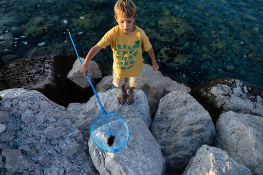 Little boy caught a sea urchin