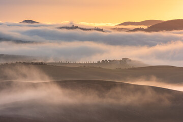 Mystical landscape with fog in the golden hour at sunrise in the agricultural countryside of Tuscany, Italy