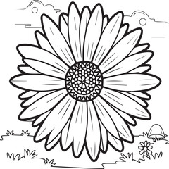 Daisy flower coloring pages. Daisy outline vector for coloring book