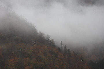 fog in the mountains
