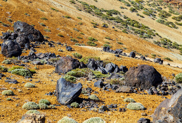 Landscape near Teide volcano, Tenerife