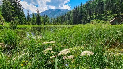 Panoramic view of alpine lake Josersee surrounded by forest in Hochschwab mountains, Styria, Austria. Wanderlust in wilderness of untamed Austrian Alps, Europe. Idyllic hiking atmosphere in summer