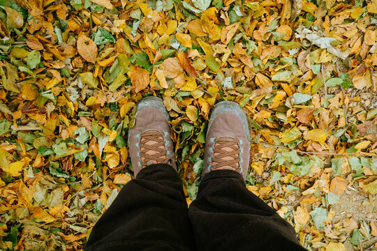 Boots Stepping Into Fall Leaves