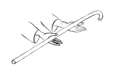 Pencil drawing. Blooming Rod of Aaron