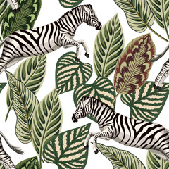Zebra, tropical palm leaves floral seamless pattern white background. Exotic botanical jungle wallpaper.	 - 777678173