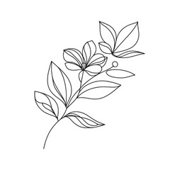 flower in one continuous line. vector graphics of a delicate flower in one line