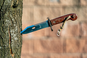 Military old bayonet knife in a tree, closeup, outdoors. Bayonet-knife made during the Soviet Union