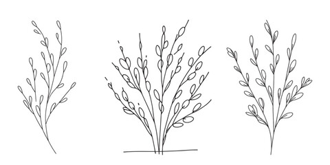 Willow plant drawing concept with one line. Continuous line drawing graphic vector illustration. fluffy plant, salix caprea. - obrazy, fototapety, plakaty