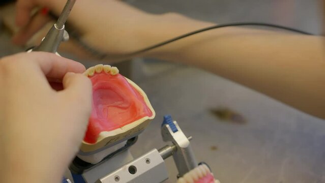 Applying the hot dental glue on the base to insert fake replacement teeth. Using the dental glue to secure the fake teeth in a jaw. Glue fixing the fake teeth on the prosthetic dental base.