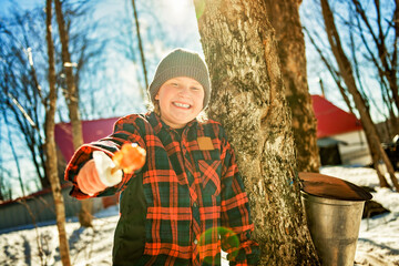 Photo showing children tasting maple syrup with wooden spoon - 777683353