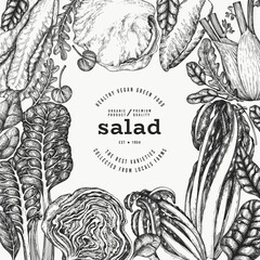 Green Vegetable Design Template. Vector Hand Drawn Healthy Leaf Salad Banner. Vintage Style Menu Illustration. - 777683989