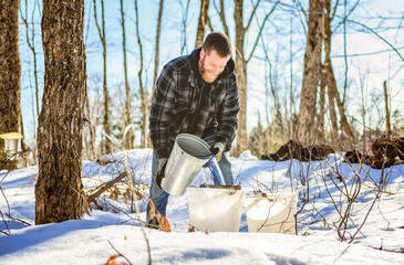 sugar shack, a maple farmer wearing a traditional clothe working take maple water - 777684101