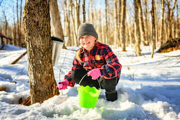 Cute child playing egg hunt on Easter forest close to a maple shack - 777684320