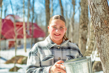 sugar shack, child having fun at maple shack forest collect maple water