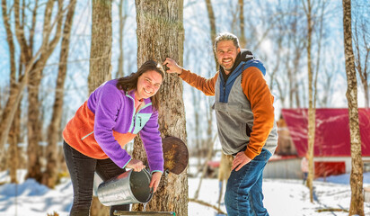 couple close to a maple shack having fun together - 777685389